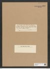 Rhaphoneis moluccensis Ehr. (de-Toni-Nr.: Genus 78, Species 2857) Zeichnungen Sammlung Grunow Nr. 5808 (NHMW-BOT-W0374221)